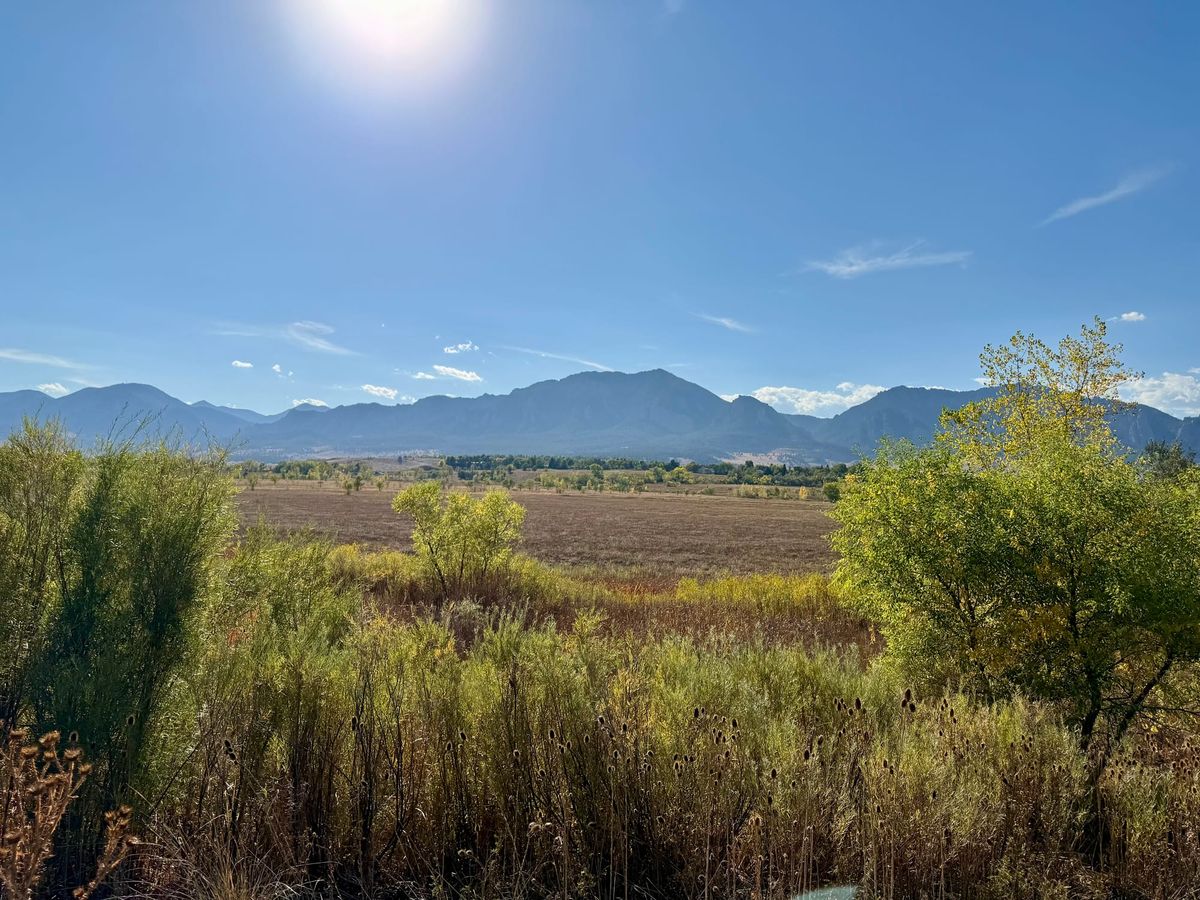 A view of the Flatirons from CU South, framed by a blue sky and green, yellow, and orange trees and bushes.