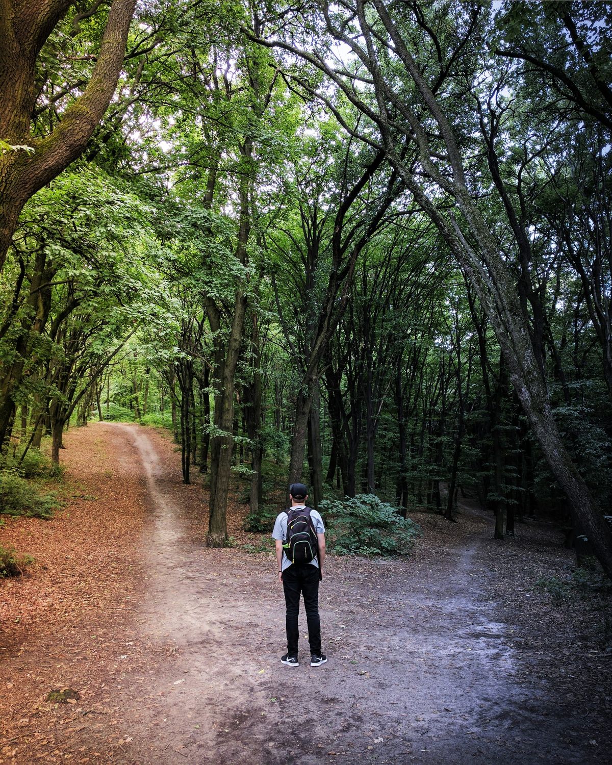 A man stands in the woods at a crossroads, with two paths in front of him. One is illuminated and the other is dark.