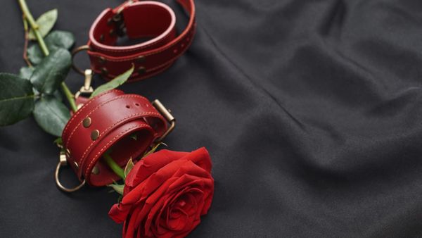 Red leather collar and rose on dark fabric