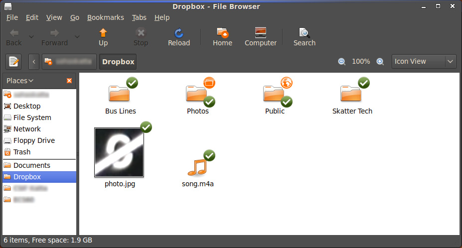 Dropbox Ubuntu 9.04