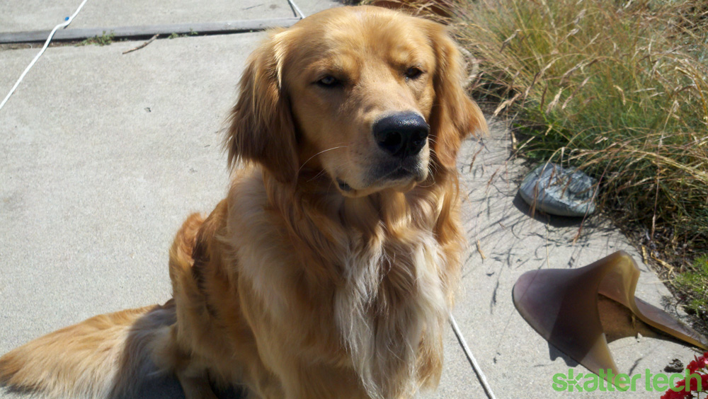 Droid X Camera Quality
