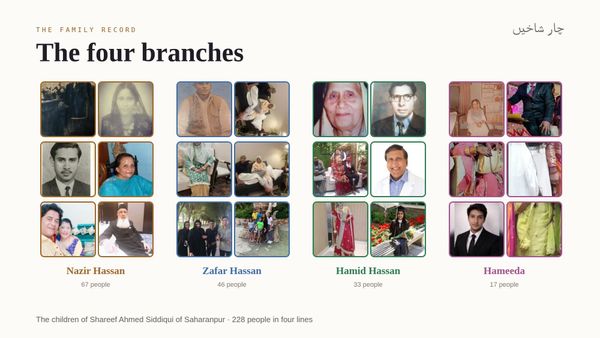 The Four Branches