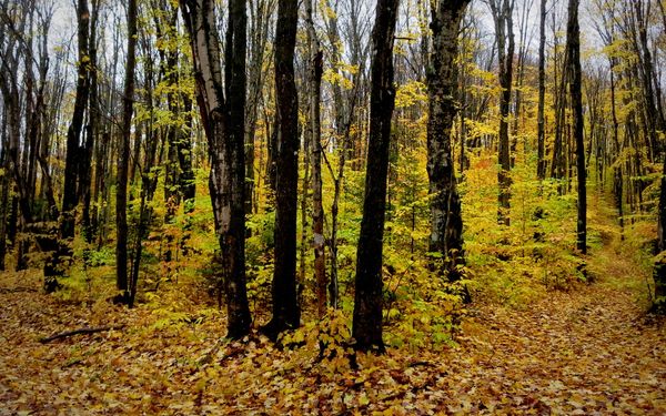 How to Manage Your Chronic Nostalgia