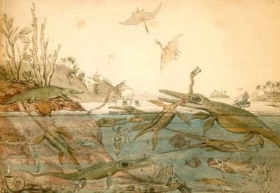 KILL THE PUPFISH