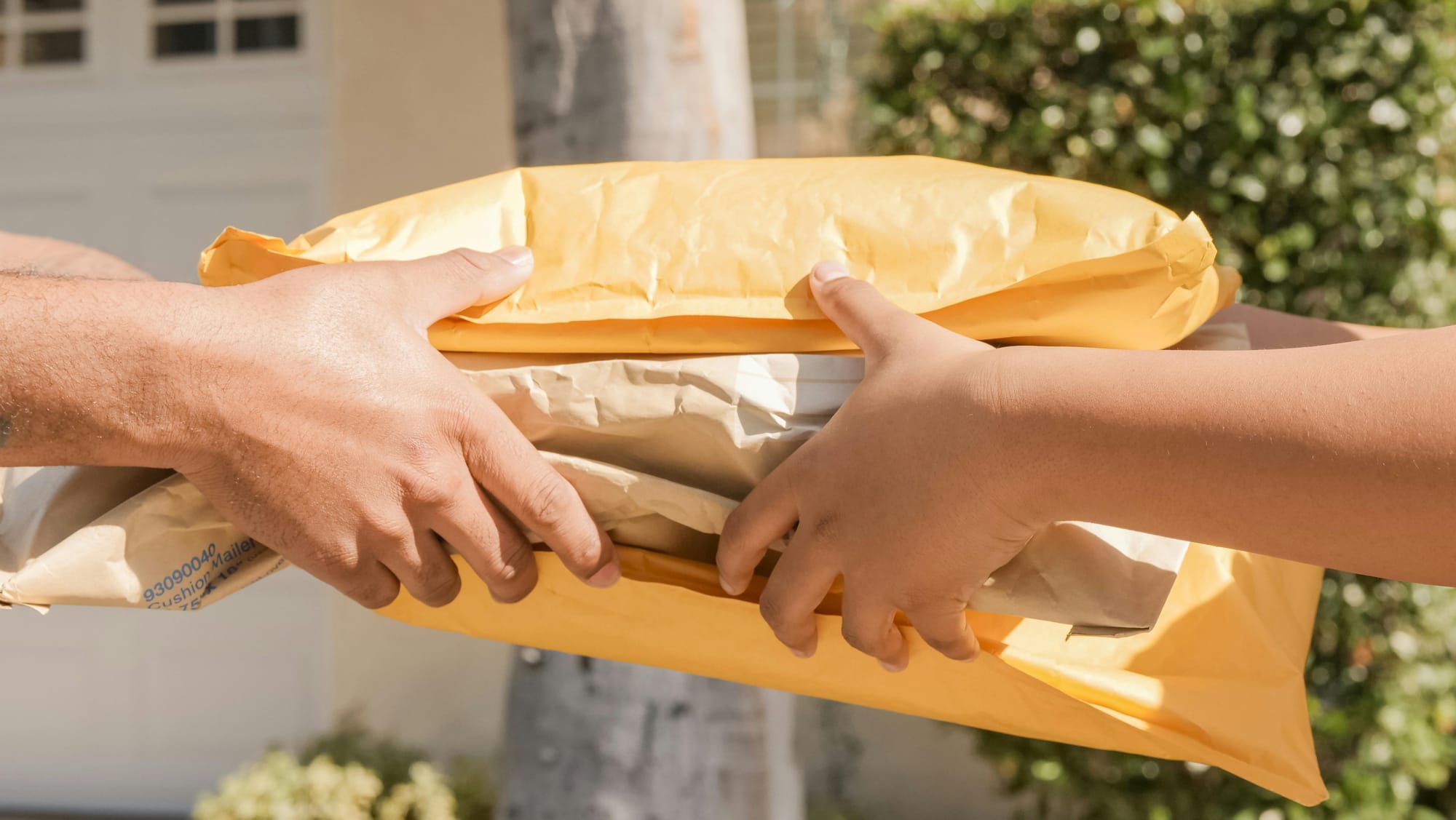 Pet Prescriptions Delivered - Petscribers