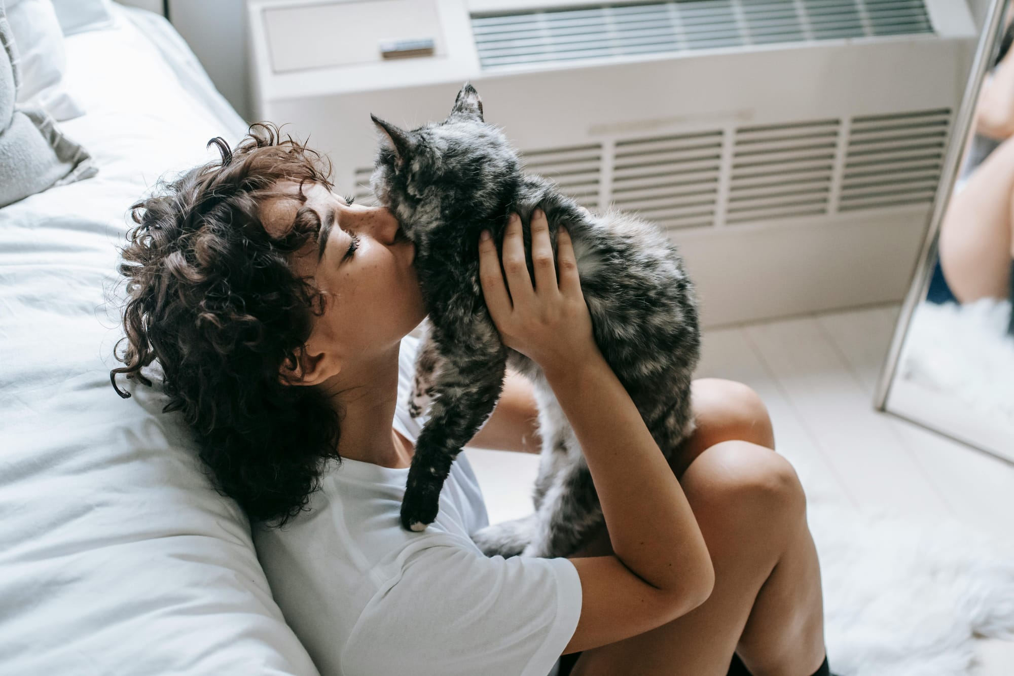 Cat and human cuddling - Petscribers