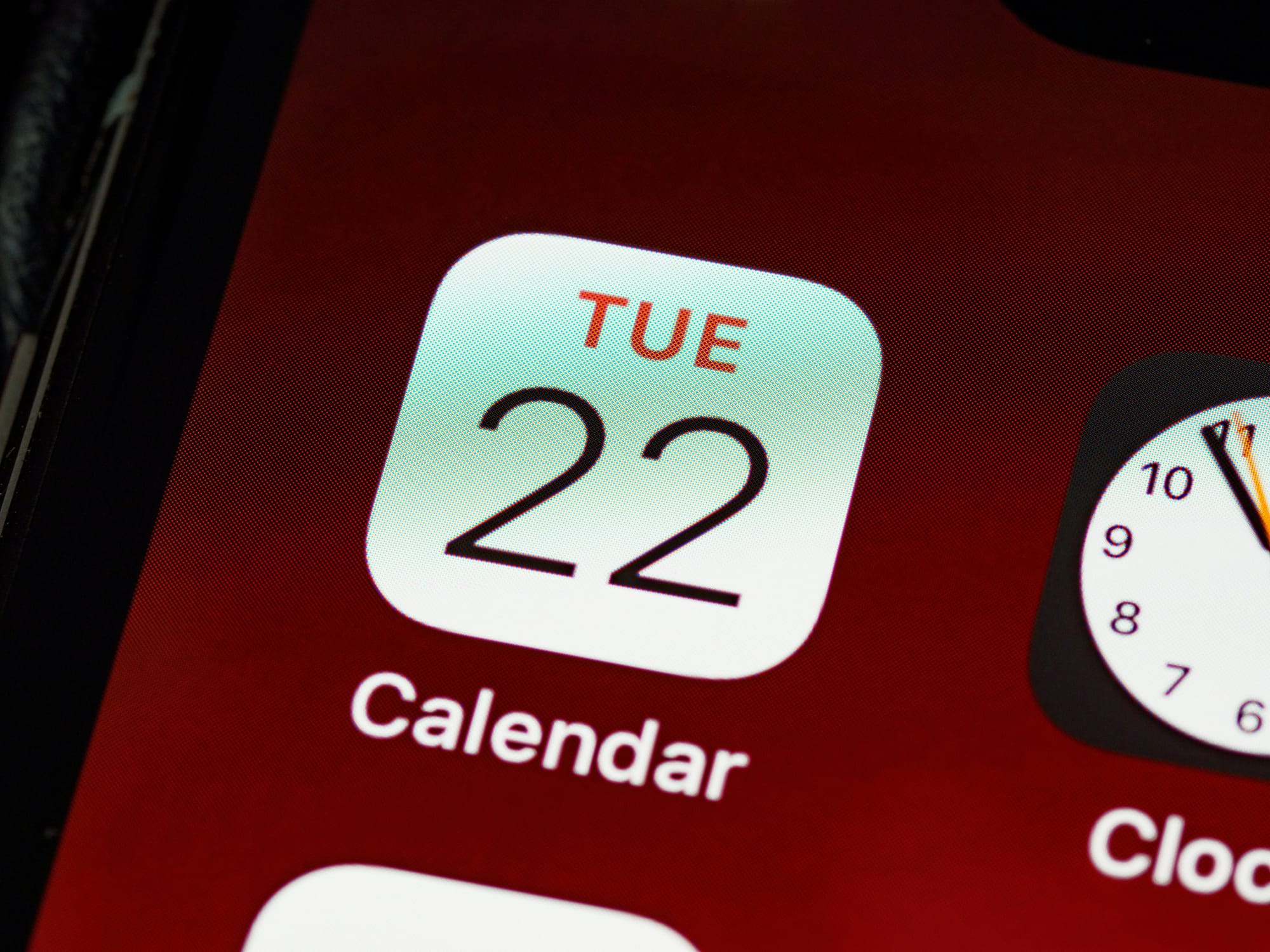 Set reminders in your calender for dog's seasonal flare ups