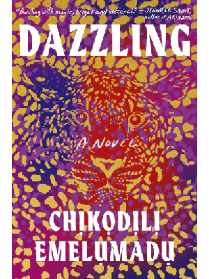 [ISBW] DAZZLED with Chikodili Emelumadu