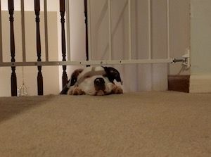 Overdue update, and epilogues