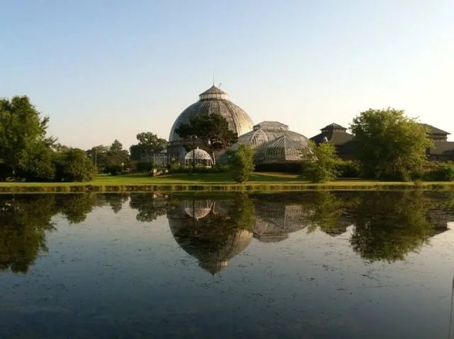 Lion Cubs, Lost Pints, and a Billionaire Belle Isle Boondoggle