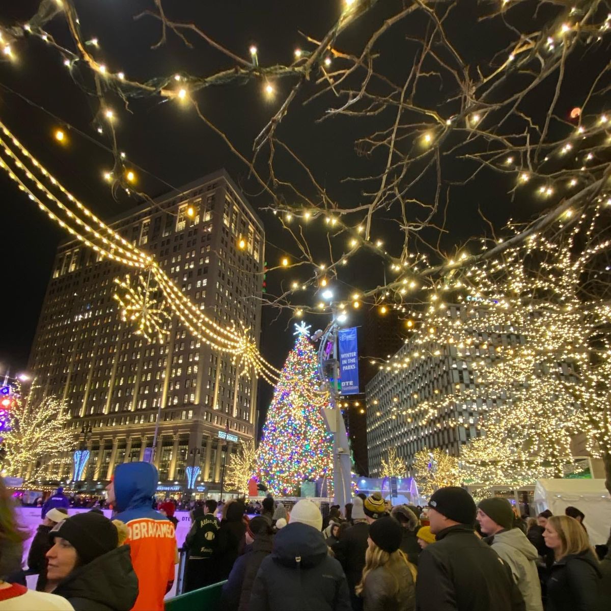 Featured image for the Historic Lee Plaza life?; COVID through Christmas; Sandhill Crane saved podcast.