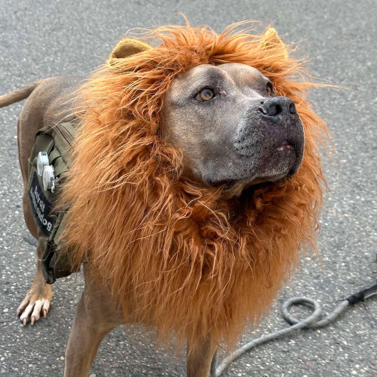 Cover image for the  newsletter.