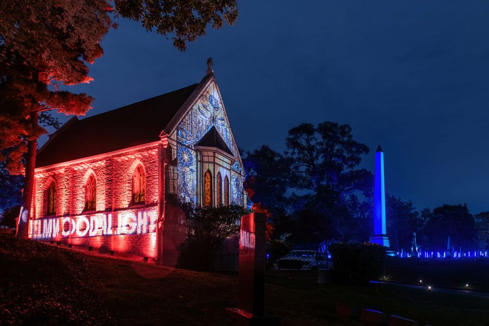 Cover image for the Sneak peek: A 180-year-old Detroit cemetery in a new light newsletter.
