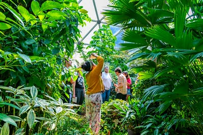 Most Beautiful Colleges in the U.S.