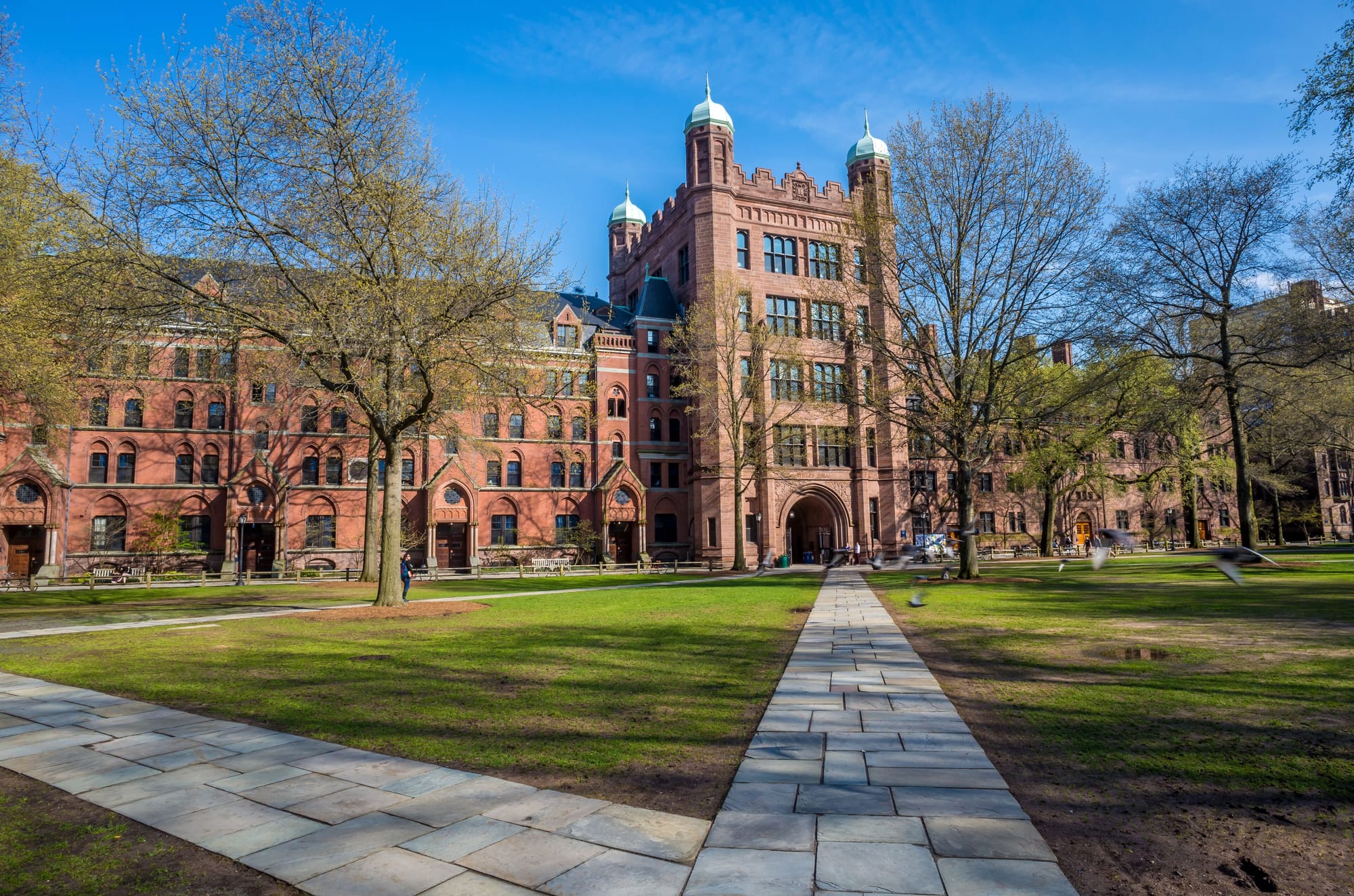 What SAT Score Is Required for Yale? Tips to Improve Your Chances