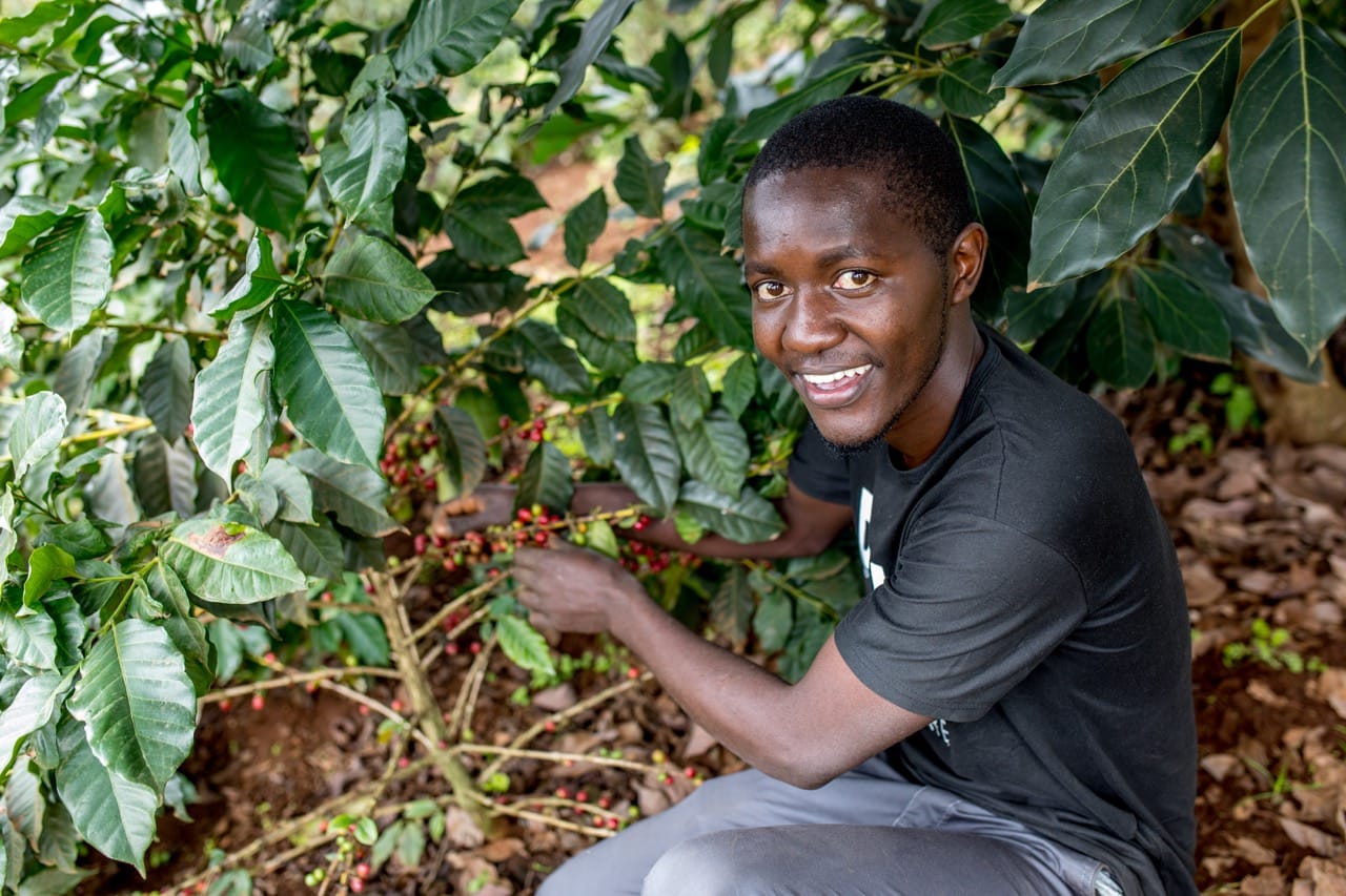 Guernsey marks 20 years as Fairtrade island with fortnight of events championing fair pay