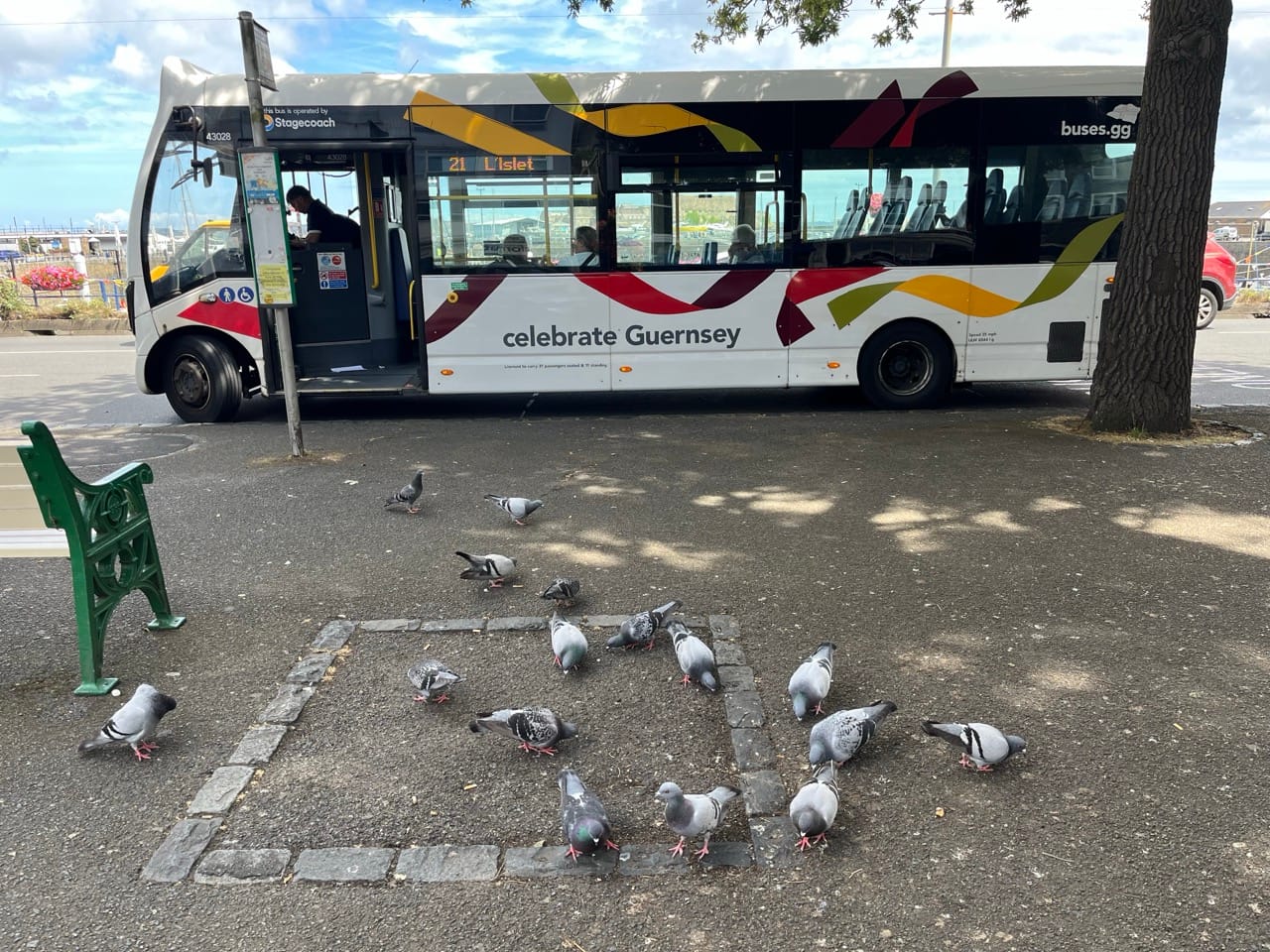 New bus timetable from 7 September aims to improve reliability and punctuality of service
