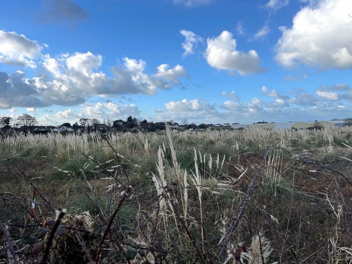 Outline planning application submitted for Saltpans transport and utilities infrastructure