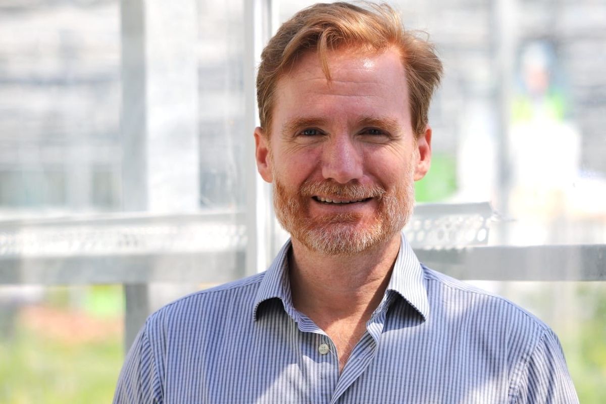 Guernsey’s superpower is its people, subtle changes can safeguard against weakening the bonds