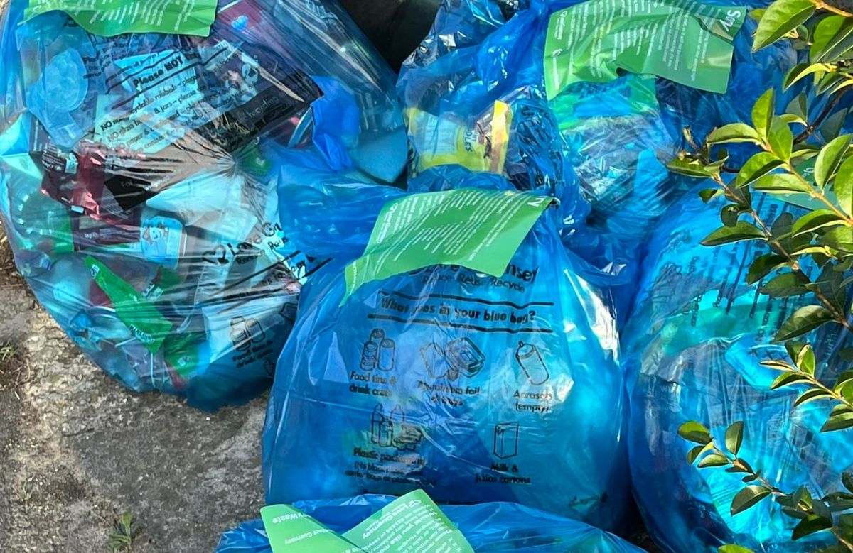 Households urged to improve recycling practices to combat contamination