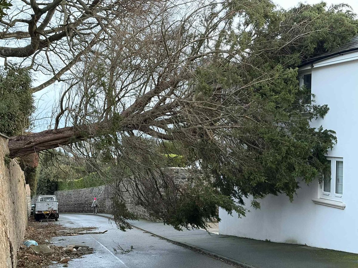 Storm Goretti: houses evacuated, trees down, schools closed - now the cleanup begins