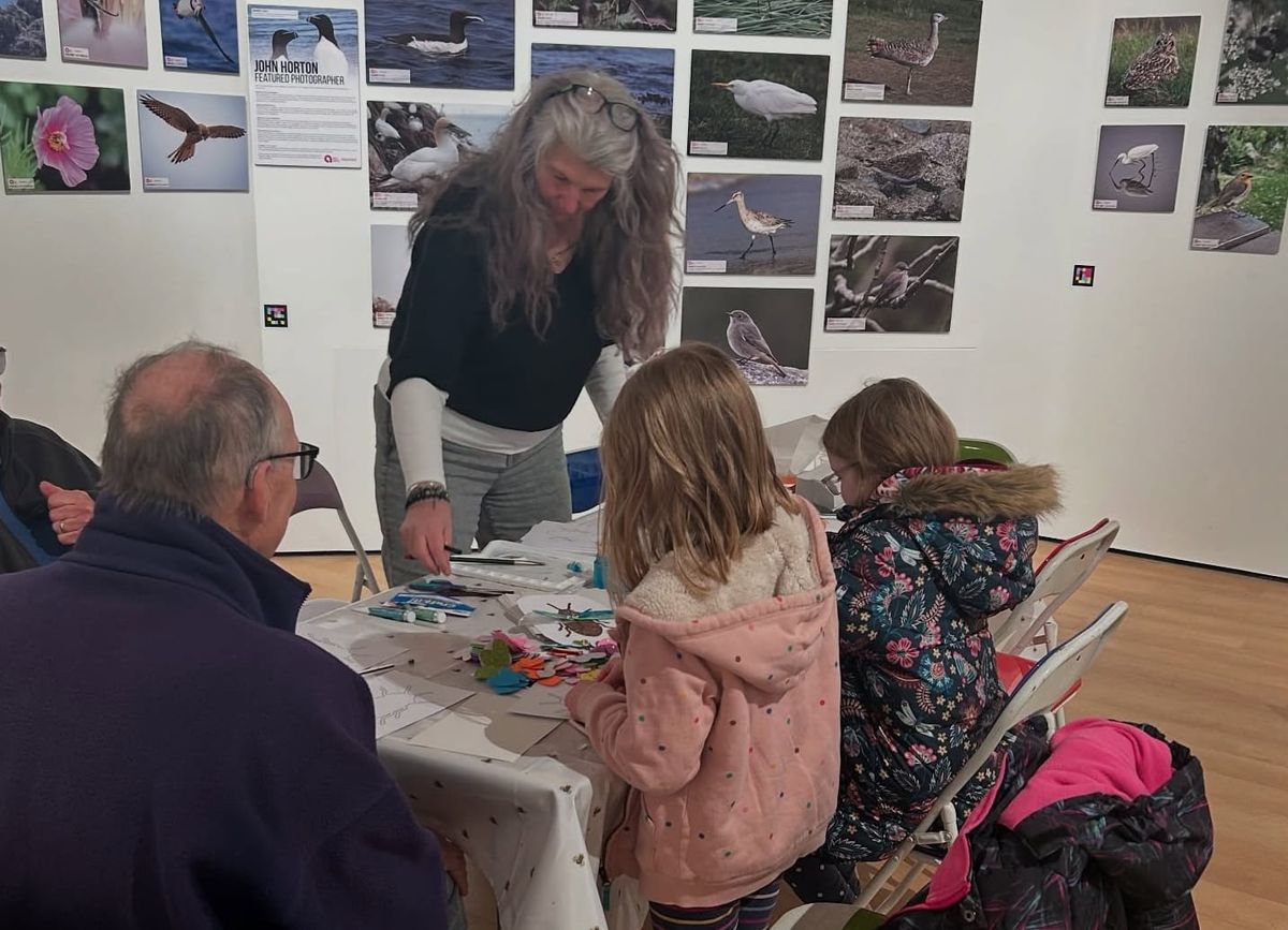Wildlife workshops this half term at Guernsey Museums