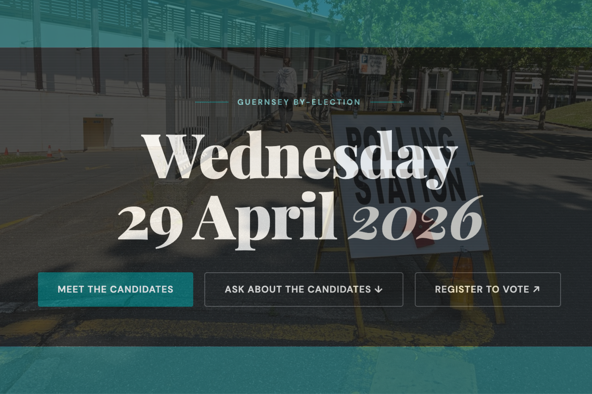 What Guernsey voters really wanted to know: inside BallotBot conversations