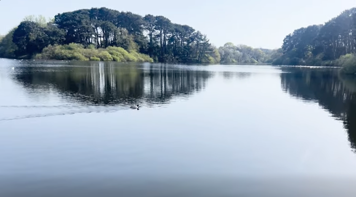 Guernsey's reservoirs remain full despite huge variations in rainfall patterns