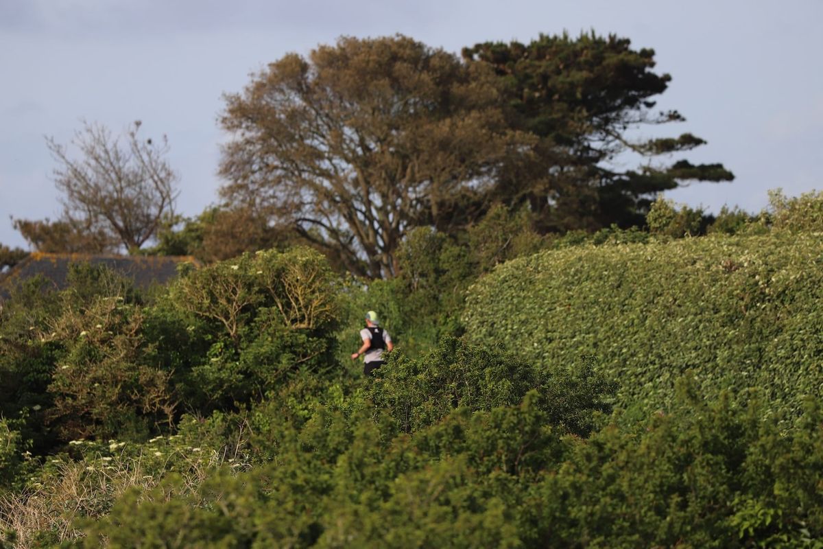 States commits £500,000 over five years to Nature Commission