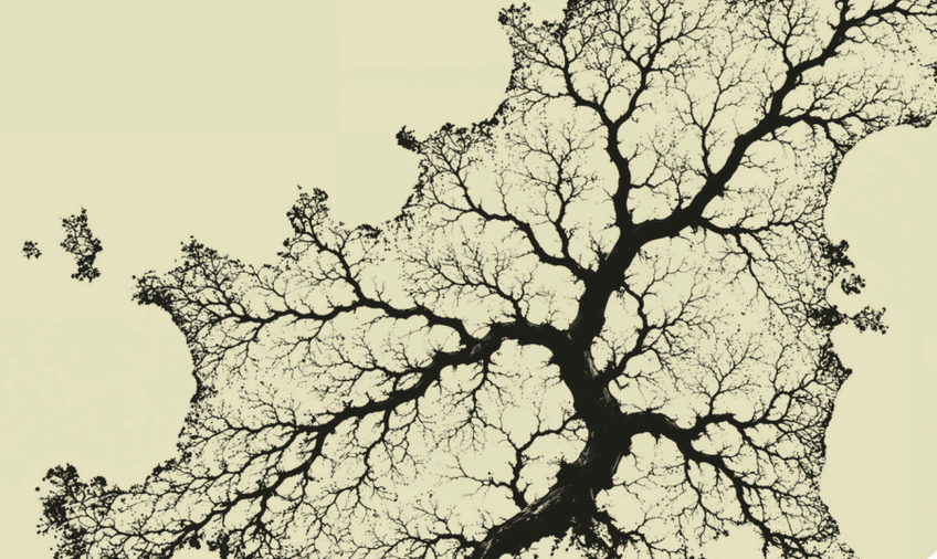 Artists invited to celebrate Guernsey's iconic trees in new exhibition