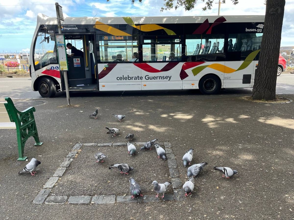 New bus timetable from 7 September aims to improve reliability and punctuality of service