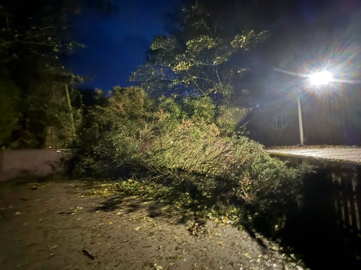 GSPCA asks for patience as Storm Austin causes communications disruption and site damage