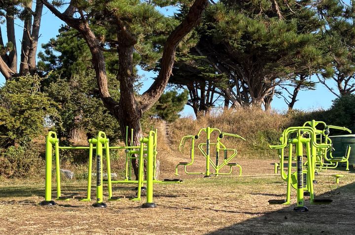 Bowel Cancer Guernsey funds outdoor gym equipment at Delancey Park