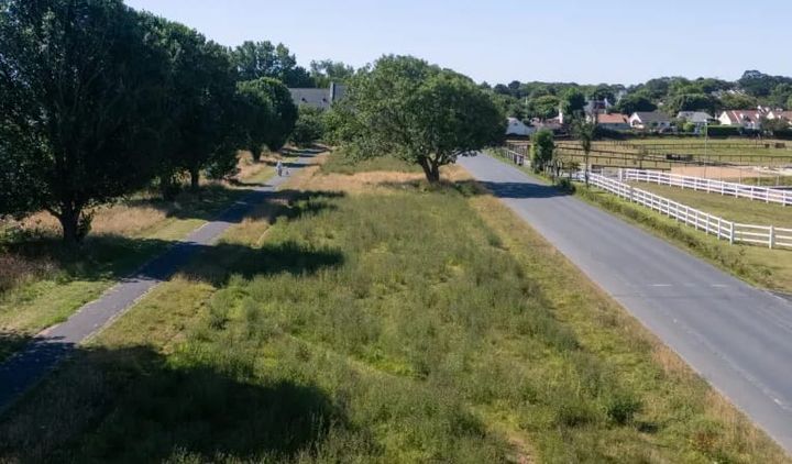 Backing for improved wildlife meadow at Fort Field