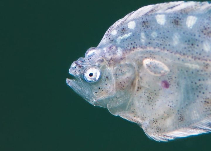 Wildlife photography competition open for entries