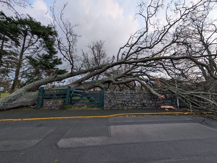 A meteorological tale of three storms