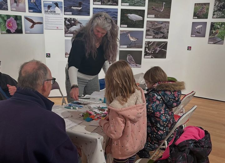 Wildlife workshops this half term at Guernsey Museums