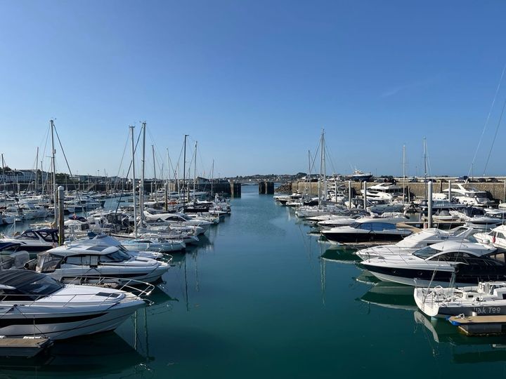 Marine biosecurity guide launched to combat invasive species threat