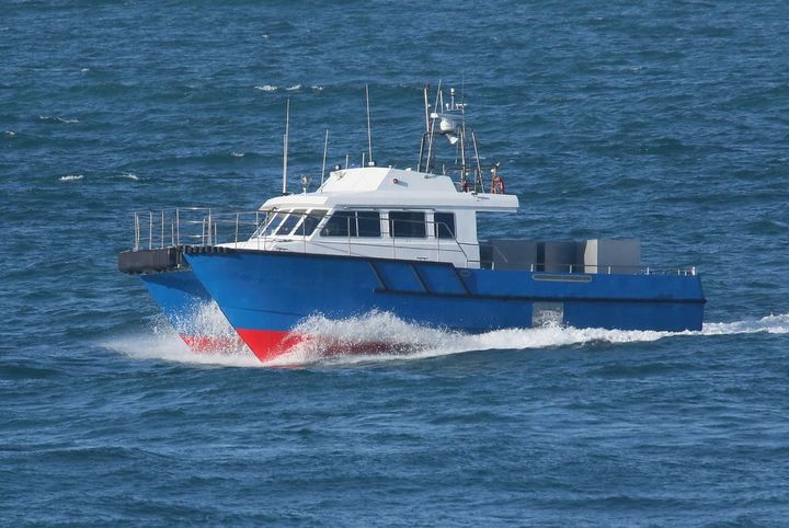 Government support for newspaper distribution would "undermine local media independence"