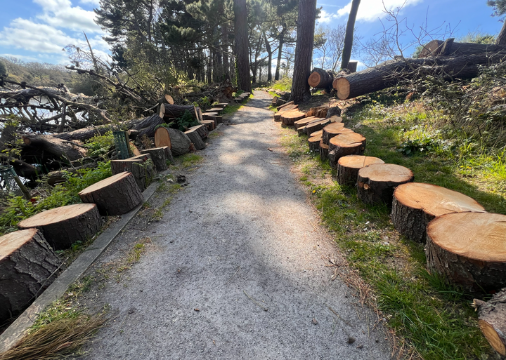 Millennium Walk reopens ahead of schedule following Storm Goretti repairs
