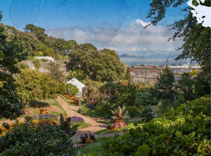 Guernsey Arts launches new guided walk and outdoor painting experience