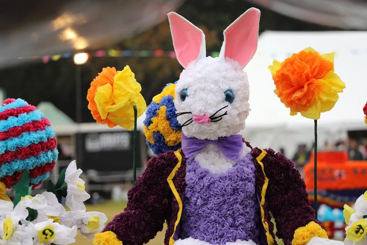 North Show returns to Saumarez Park with stunt displays and Battle of Flowers