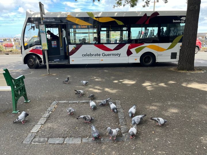 New bus timetable from 7 September aims to improve reliability and punctuality of service