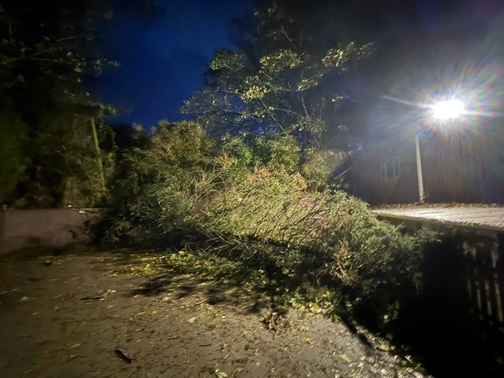 GSPCA asks for patience as Storm Austin causes communications disruption and site damage