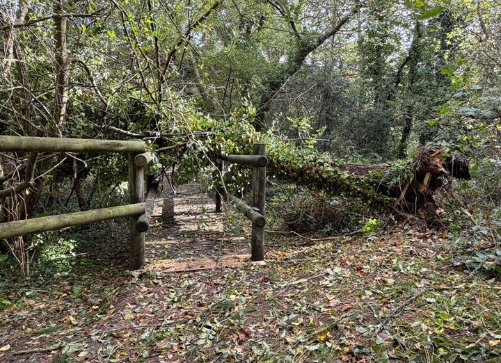 Millennium Walk closed following storm damage