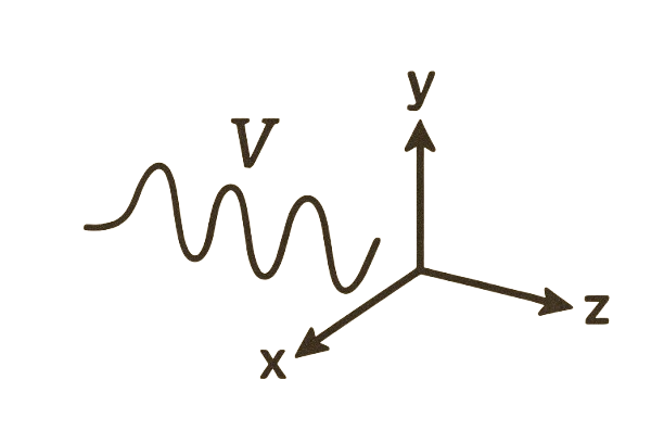 Why Signals are Vectors