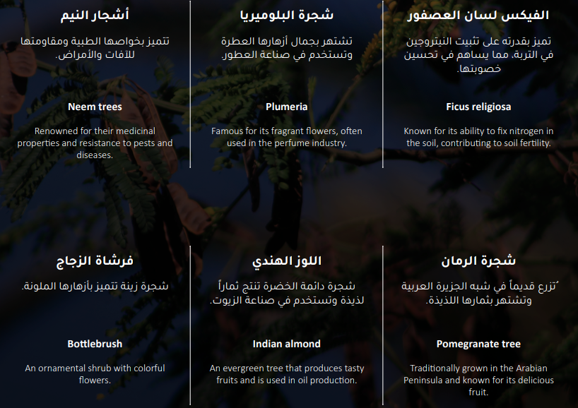 King Salman Park Riyadh