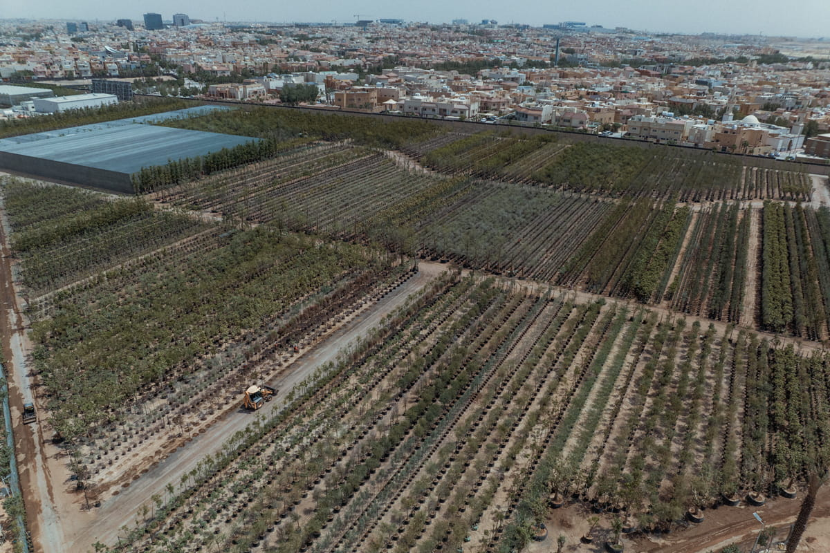 King Salman Park Riyadh