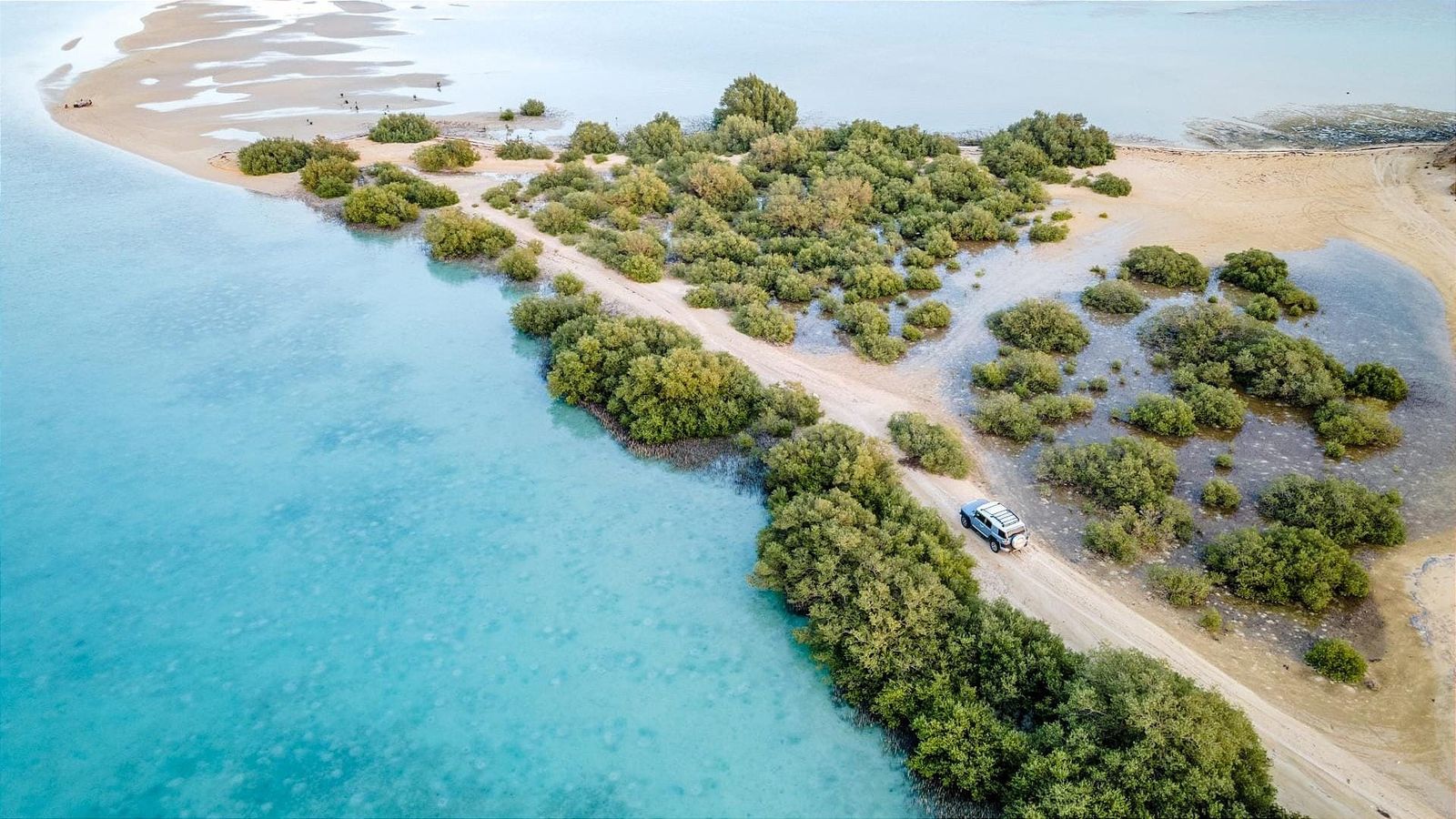 Farasan Island: Top 10 Experiences in Saudi Arabia’s Island Paradise