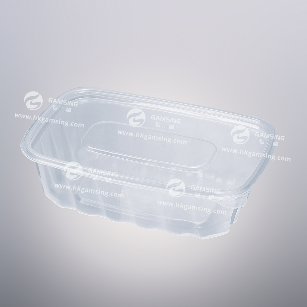 750ml PP Plastic Rectangular Takeout Food Container With Lid post feature image